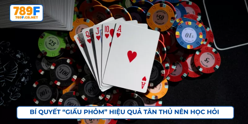 Bí quyết “Giấu Phỏm” hiệu quả tân thủ nên học hỏi