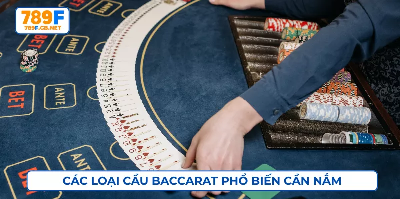 Các loại cầu Baccarat phổ biến cần nắm