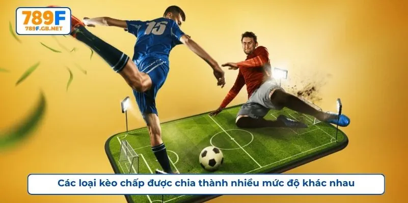 Các loại kèo chấp được chia thành nhiều mức độ khác nhau