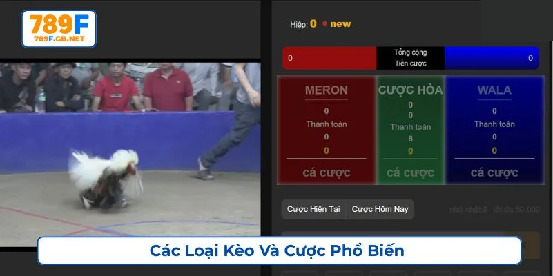 Sảnh game cung cấp nhiều loại kèo cược đa dạng